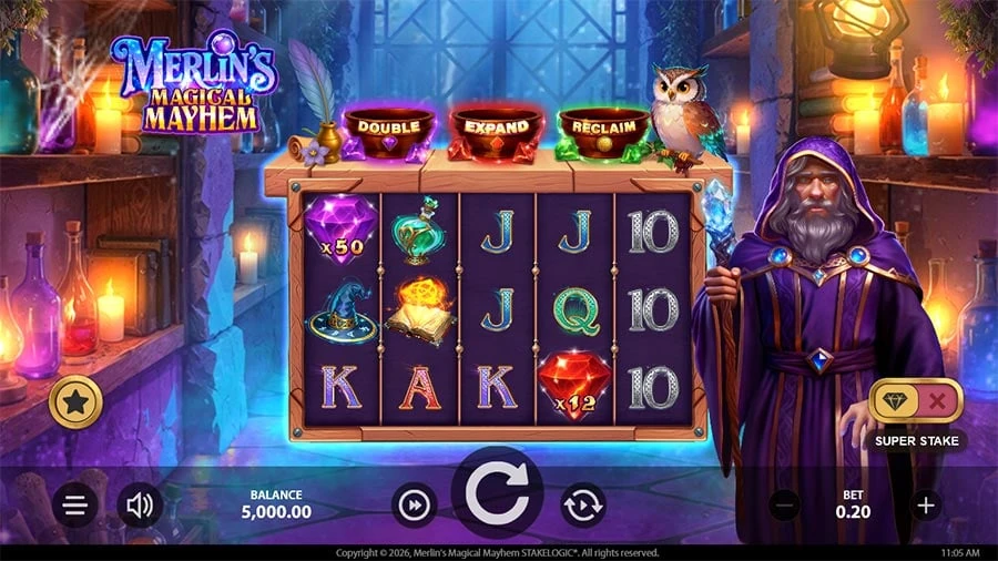 Merlin’s Magical Mayhem base game